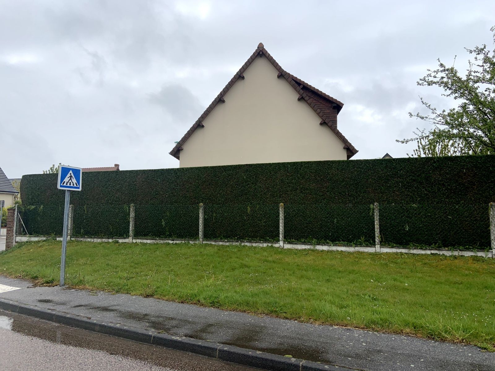 Plantation de haies diversifiées offrant une solution naturelle et esthétique pour délimiter et structurer les espaces extérieurs Duclair 76480 en Seine Maritime