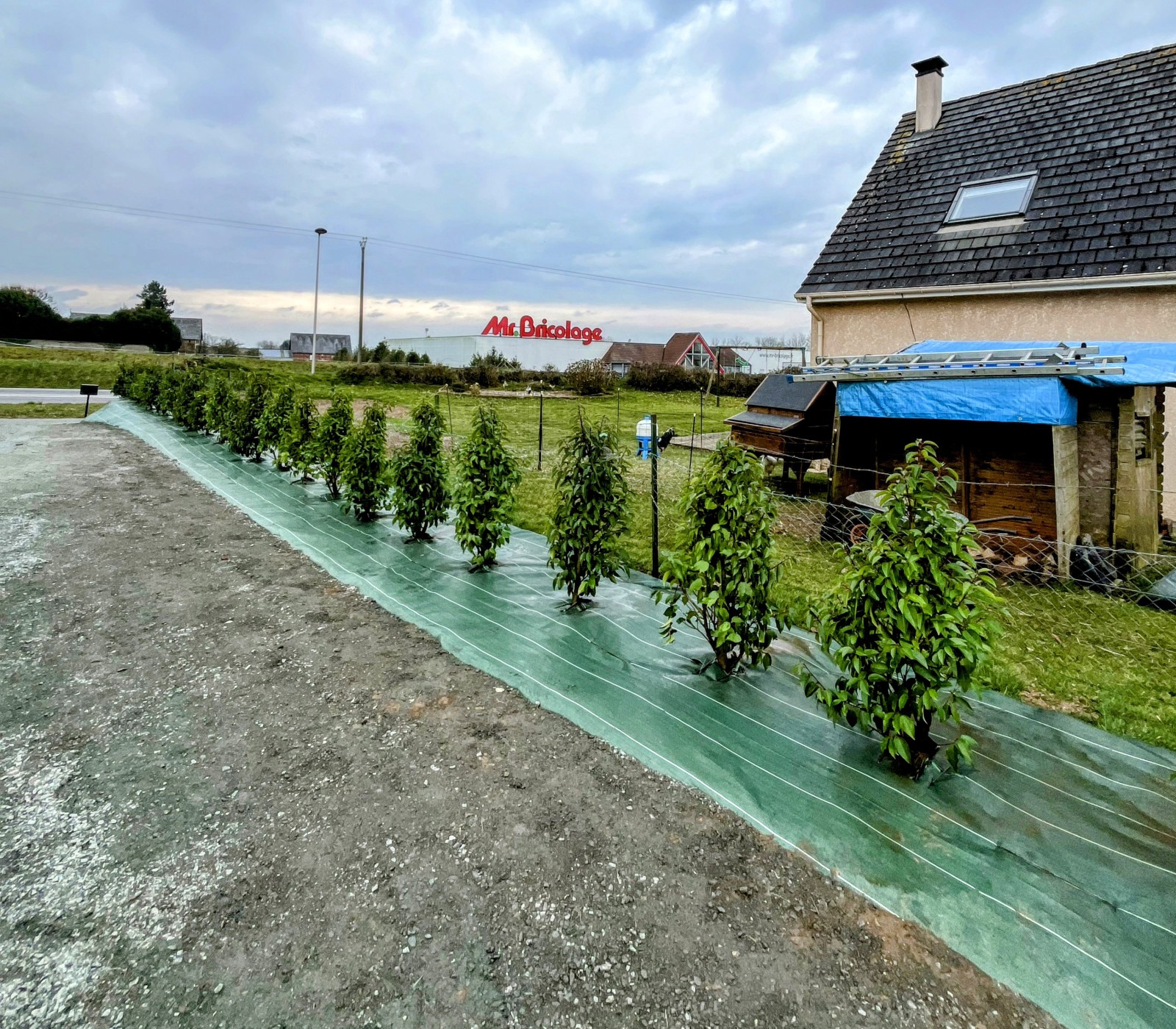 Prestation de taille professionnelle de haies pour les espaces verts, disponible tout au long de l'année pour maintenir esthétique et propreté Barentin 76360 en Seine Maritime