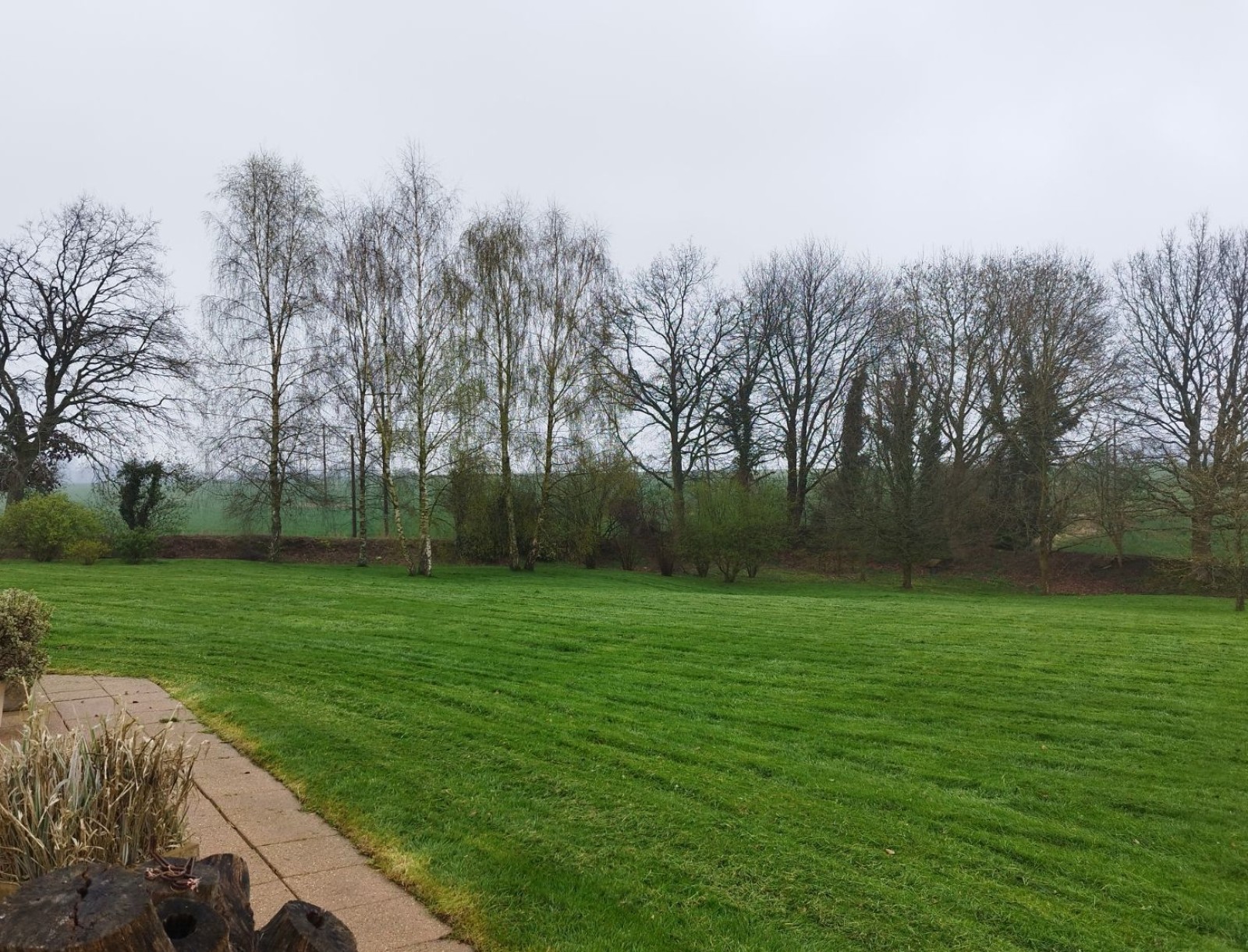 Services professionnels d'un paysagiste jardinier pour la création sur mesure de pelouses ou d'engazonnements, adaptés à chaque type de terrain Yerville 76760 en Seine Maritime