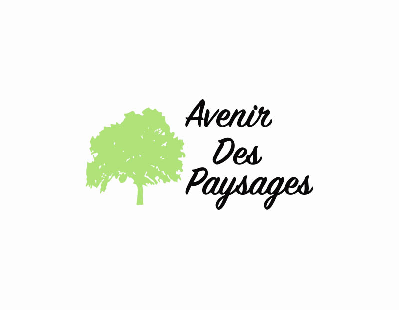 Plantation de haies diversifiées offrant une solution naturelle et esthétique pour délimiter et structurer les espaces extérieurs Barentin 76360 en Seine Maritime