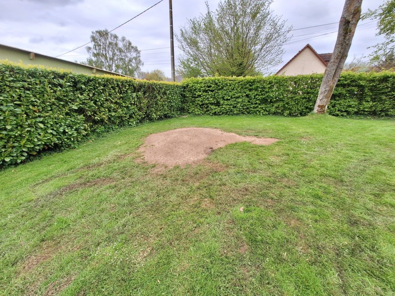 Entreprise paysagiste pour le rognage des souches et remise en état de la pelouse secteur Pavilly 76