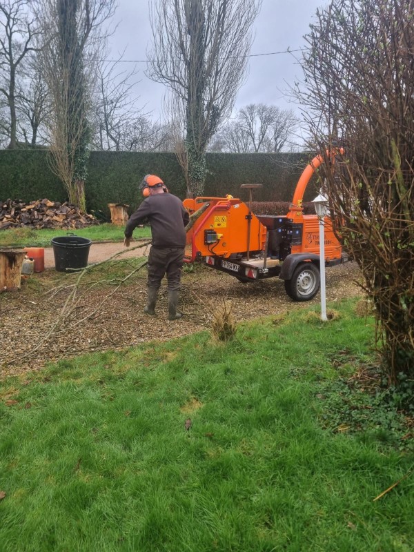 Des grimpeurs élagueurs pour le démontage des arbres sur Rouen 76
