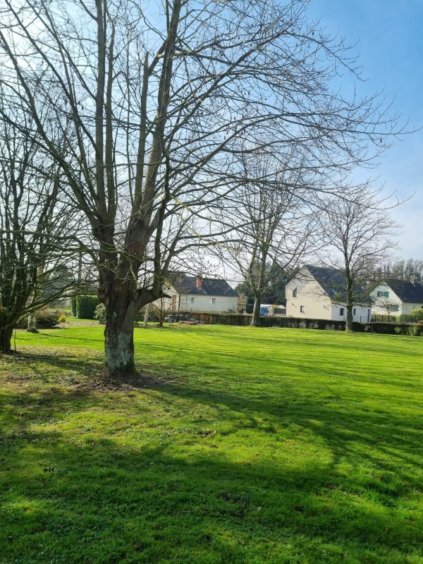 Entreprise pour la tonte des pelouses à Yvetot 76