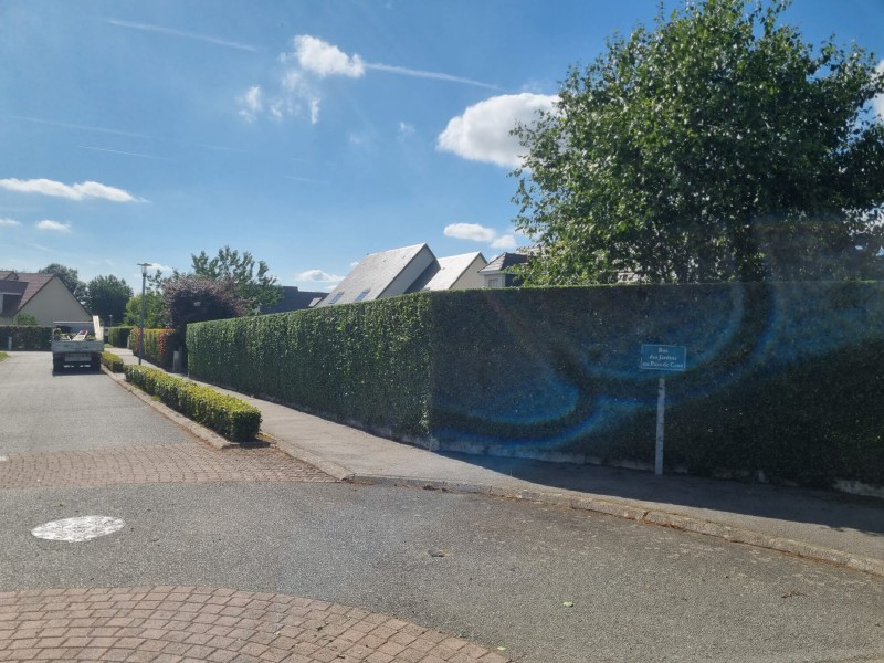 A Barentin des proffessionnels du paysage vous font bénéficié du crédit d'impôt sur vos travaux de taille de haie et arbuste