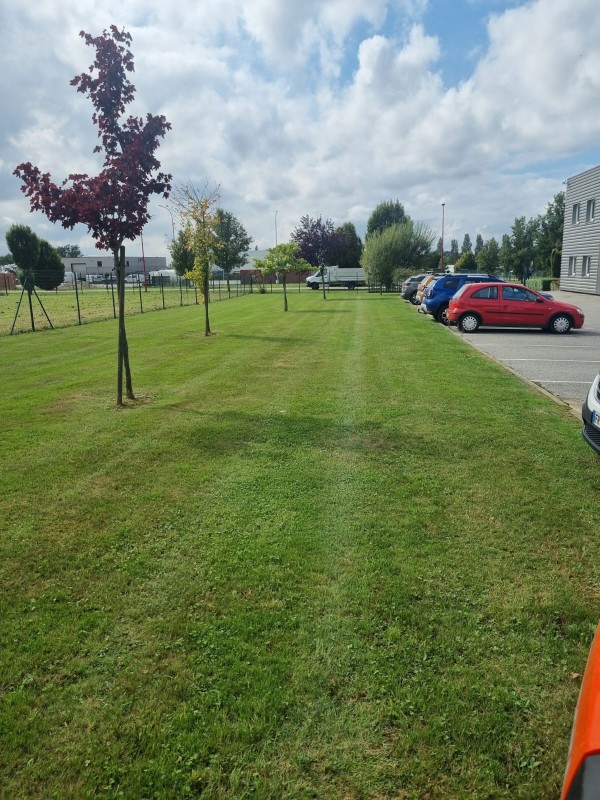 paysagiste pour l'entretien des espaces verts Malaunay 76
