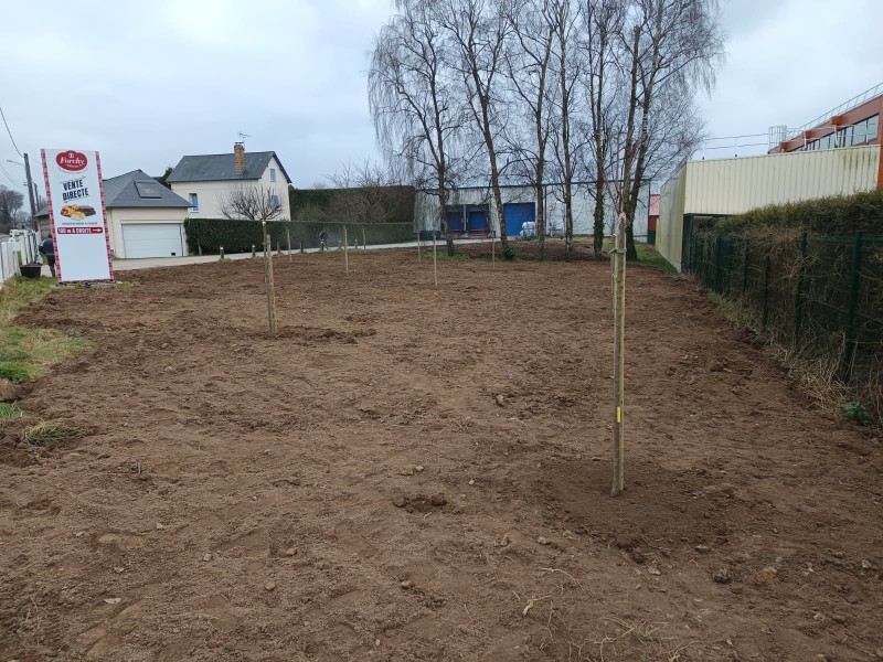 A Yvetot une entreprise spécialisée pour les arrachage des haies et terrassement proche Yvetot 