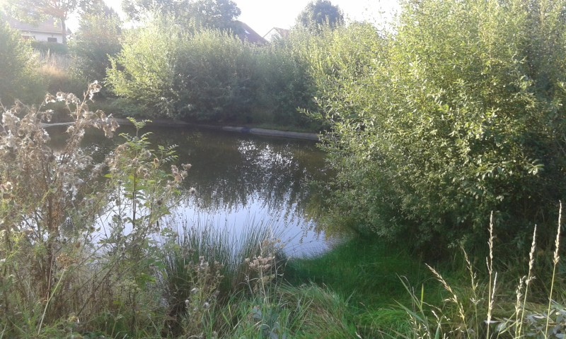 Où trouver une entreprise pour débroussailler et remise en état des bassins de rétention secteur Barentin 76