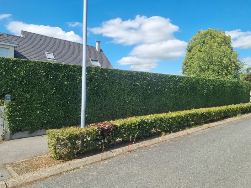 Des paysagistes pour la taille de haie et profitez d'un crédit d'impôt sur Barentin 