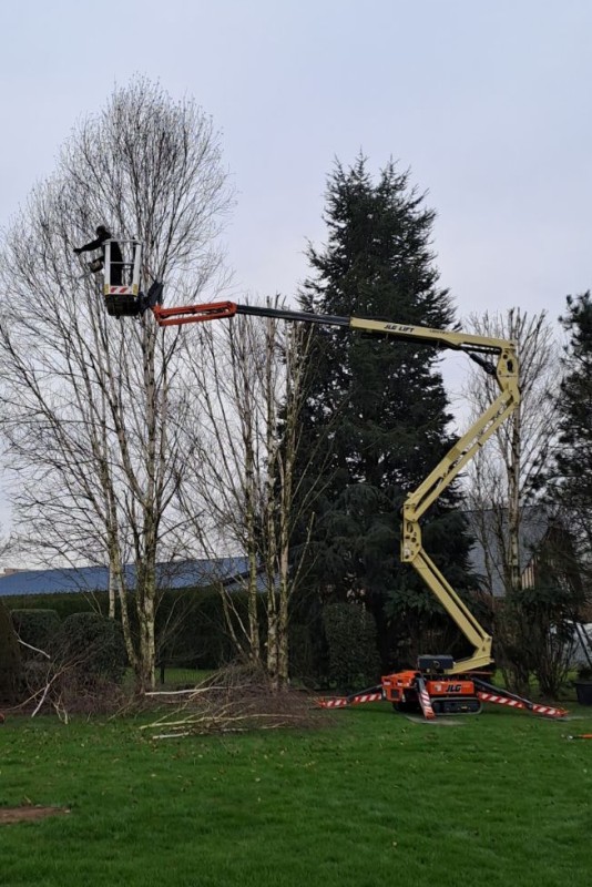 Elagueurs pour la taille et l'abattage de vos arbres secteur Duclair 76