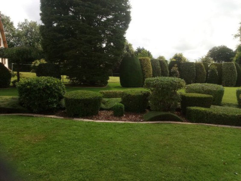 Jardin entretenu par une entreprise spécialisée qui propose des contrats d'entretien annuel avec avantage fiscal sur le secteur Duclair 76