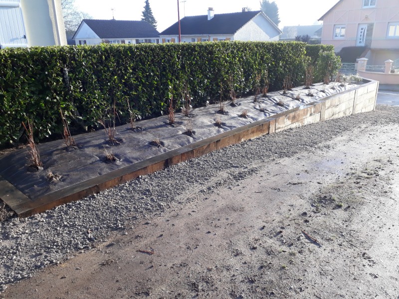 Plantation des haies fleurie persistantes, caduc par une entreprise spécialisée sur le secteur de Rouen 