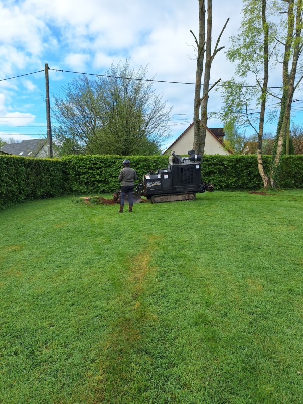 Entreprise paysagiste pour le rognage des souches et remise en état de la pelouse secteur Pavilly 76
