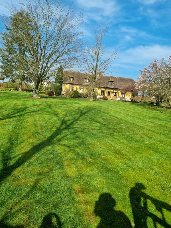 Entretien de jardin avec la tonte d'une grande surface de pelouse sur Yvetot en Seine-Maritime