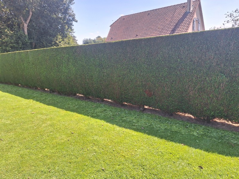 Entreprise de jardiniers paysagiste pour l'entretien de vos jardins secteur Yvetot 76