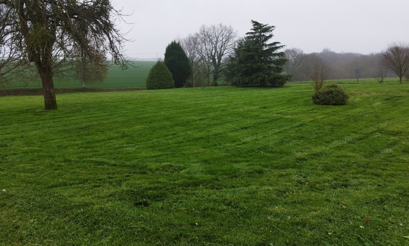 Tonte de pelouse sur Yerville 76