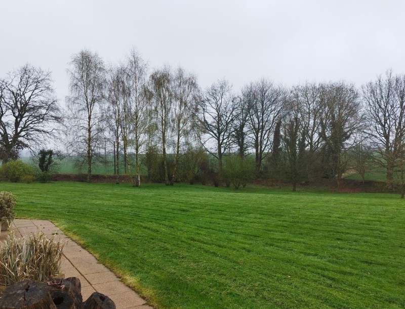 Tonte de pelouse sur Yerville 76