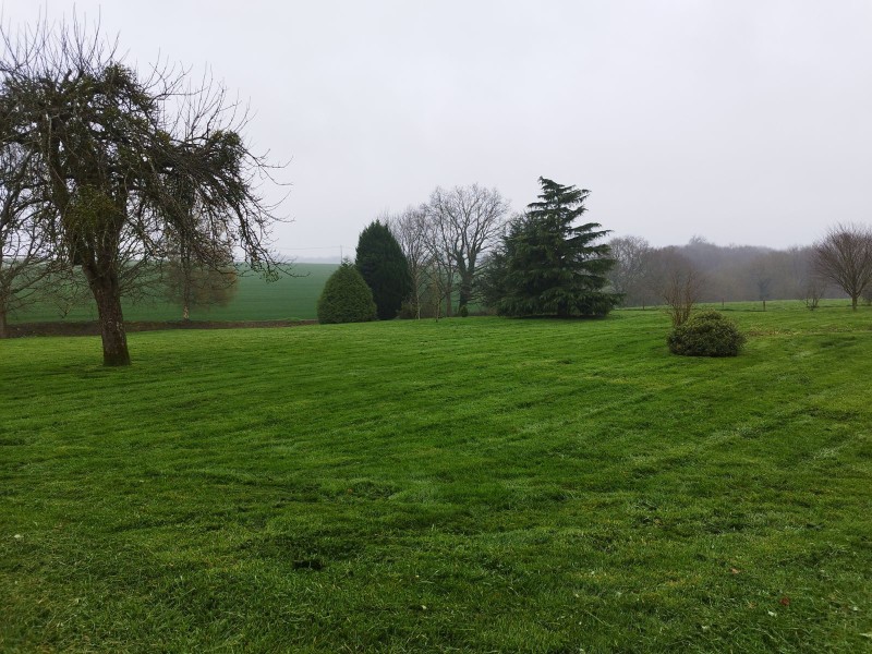 Entreprise paysagiste pour l'entretien annuel de votre jardin, avec déduction fiscale de 50 % sur le secteur de Barentin 76