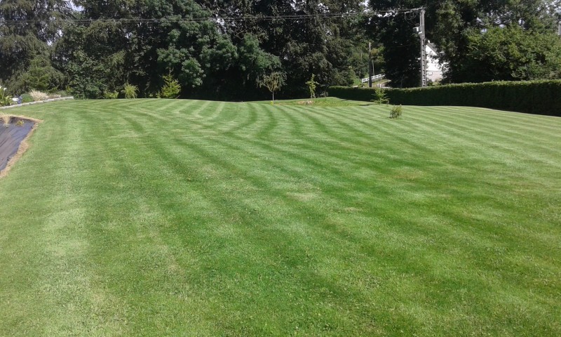 Prestation de tonte de pelouse avec avantage fiscale de 50% à Yerville 76 