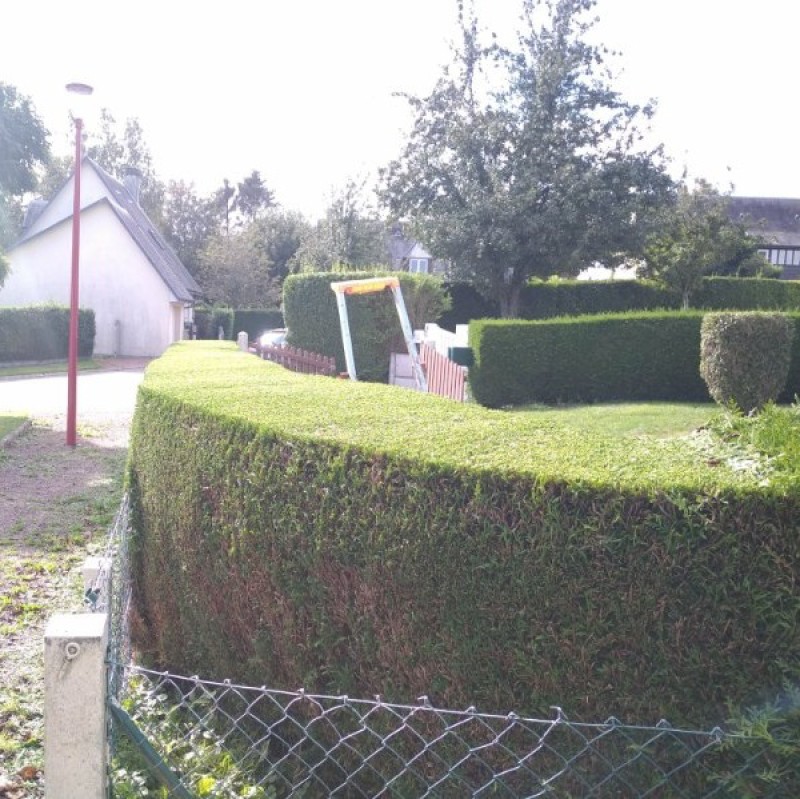 Entreprise paysagiste pour l'entretien annuel de votre jardin, avec déduction fiscale de 50 % sur le secteur de Barentin 76