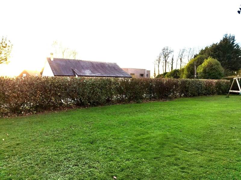 Chantier réalisé avec soin pour la réduction de la hauteur d'une haie sur Bois Guillaume 76