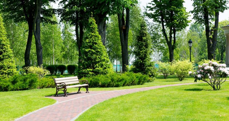 Trouver un paysagiste pour conception et aménagement de jardin à Yerville 