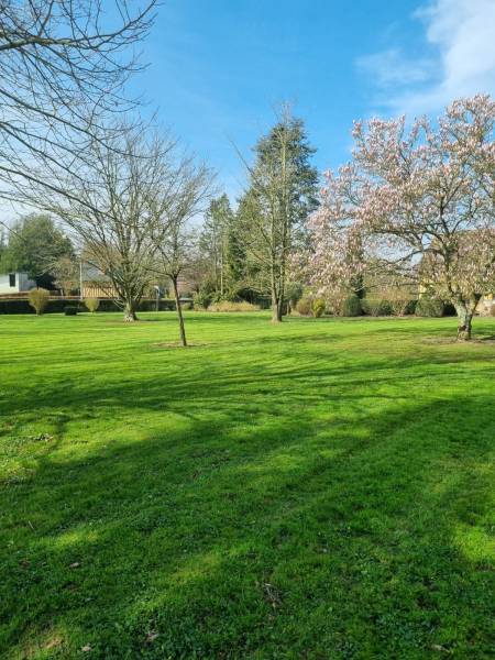 Où trouver une entreprise pour mon contrat d'entretien de ma pelouse avec déduction fiscale de 50% proche de Yvetot 