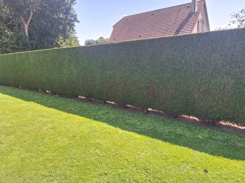 Entreprise paysagiste pour l'entretien de jardin avec crédit d'impôt de 50 % sur le secteur de Sainte Marie des champs proche de Yvetot 76