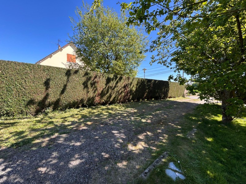 Taille de haie de thuyas par une entreprise d'espace vert sur le secteur de Pavilly 76
