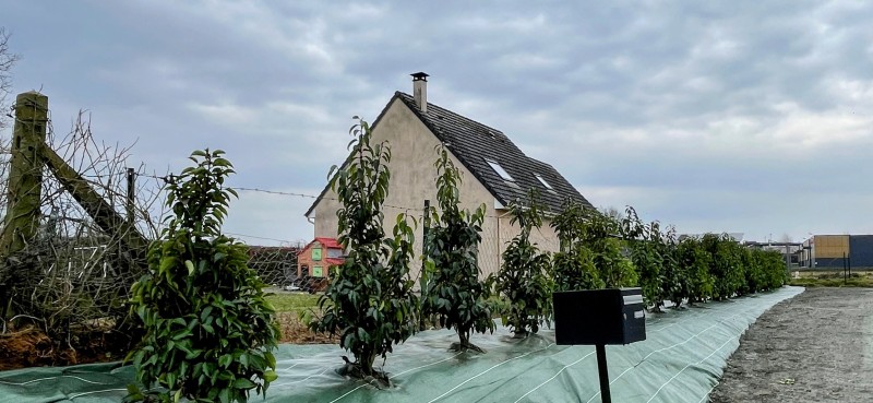 Où trouver un paysagiste à Bois Guillaume 76