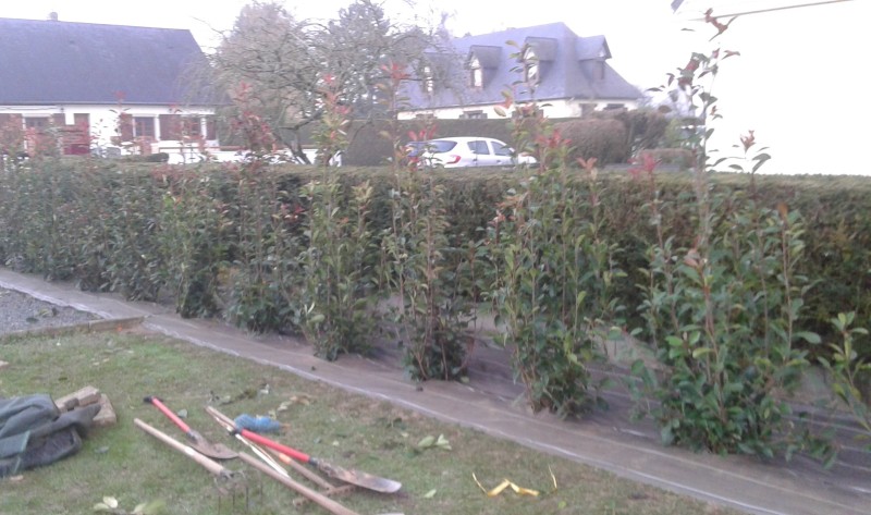 Création et Entretien de Massifs – Paysagiste à Yvetot