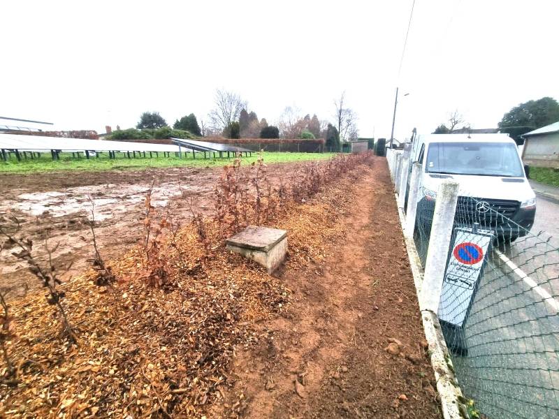 Entreprise expert pour la plantation de haie bocagère et paillage BRF secteur Barentin 