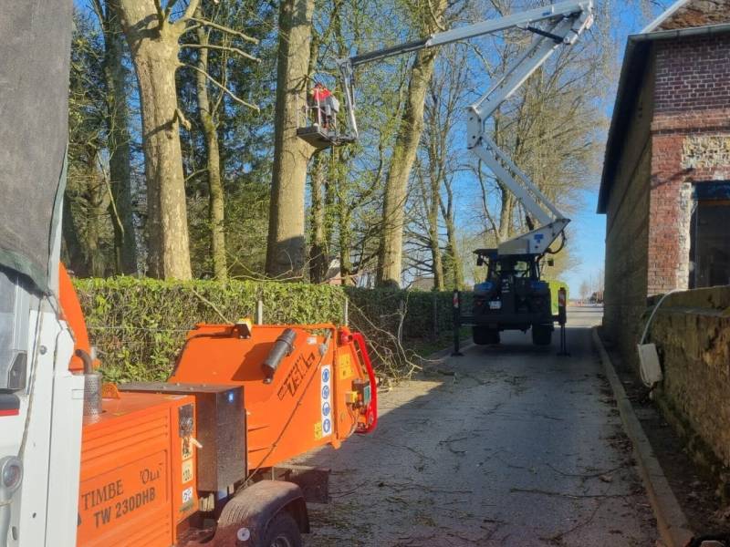 Vous cherchez une entreprise spécialisé pour l'élagage et l'abattage de vos arbres sur Yerville 