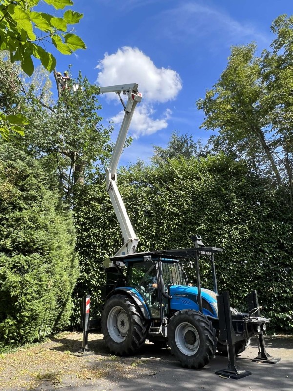Paysagiste spécialisé pour le soins de vos arbres proche de Yerville 76