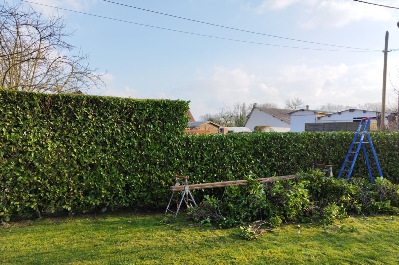 Entreprise spécialiste du rabattage de haie avec déduction fiscal sur Yvetot