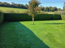 Nos prestations sur le secteur de Duclair 76480 en Seine Maritime