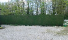 Notre zone d'activité pour ce service Prestation de taille professionnelle de haies pour les espaces verts, disponible tout au long de l'année pour maintenir esthétique et propreté