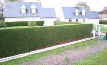 Notre zone d'activité pour ce service Prestation de taille professionnelle de haies pour les espaces verts, disponible tout au long de l'année pour maintenir esthétique et propreté