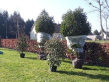 Notre zone d'activité pour ce service Maintenance des allées pour garantir une accessibilité et une sécurité optimales dans votre jardin ou espace vert